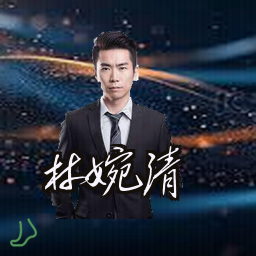 林婉清